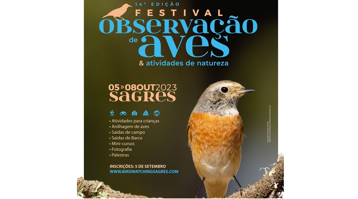 Sagres - Algarve - Aves