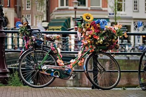 Amsterdam_bici