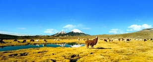 Chile_Parques_Nacionales