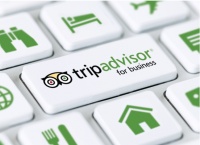 TripAdvisor_Insights