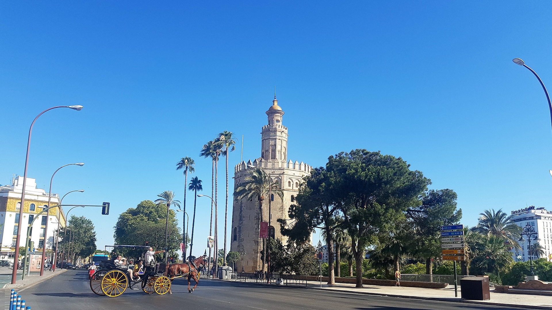 Torre Oro y caballo Sevilla