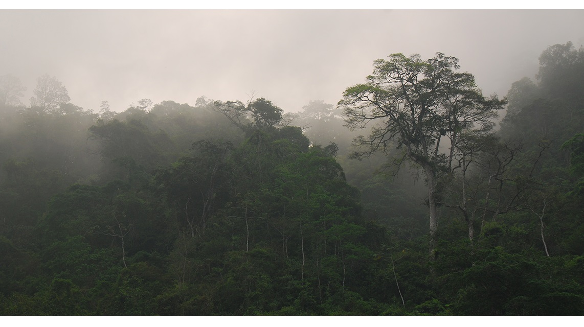 La Ceiba