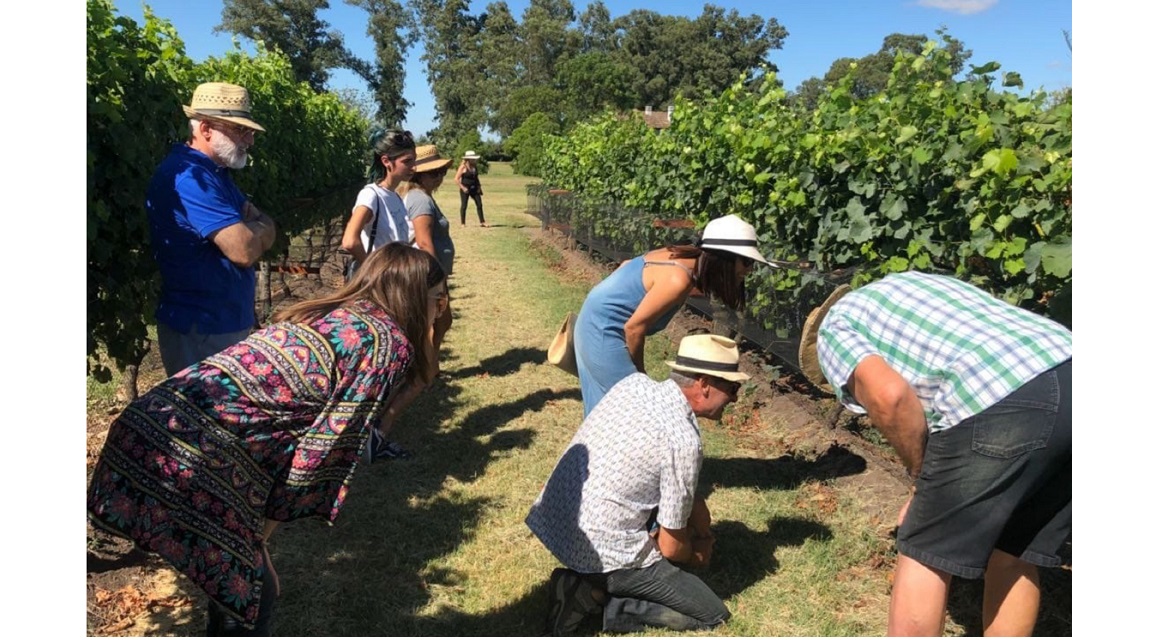 Buenos Aires Ruta del Vino