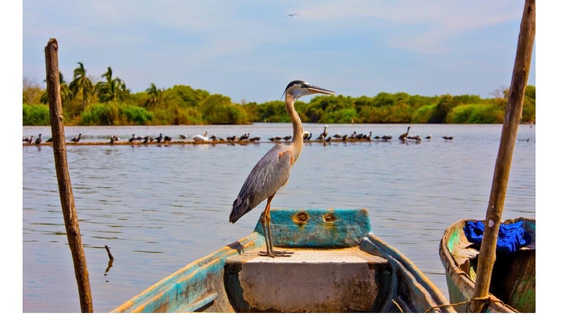 Riviera Nayarit