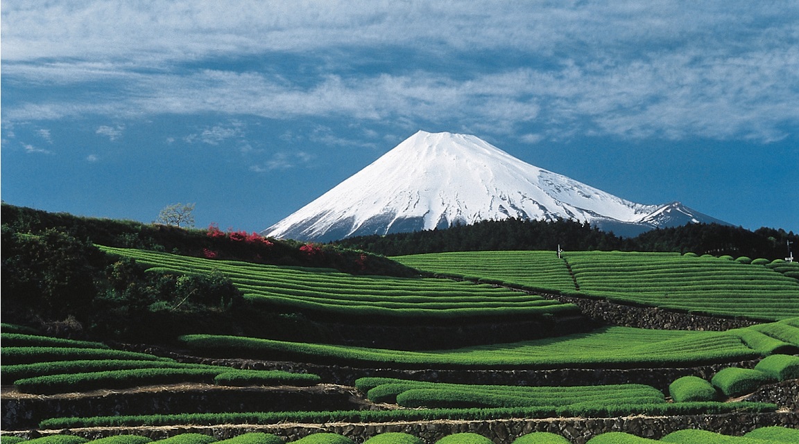 Fuji