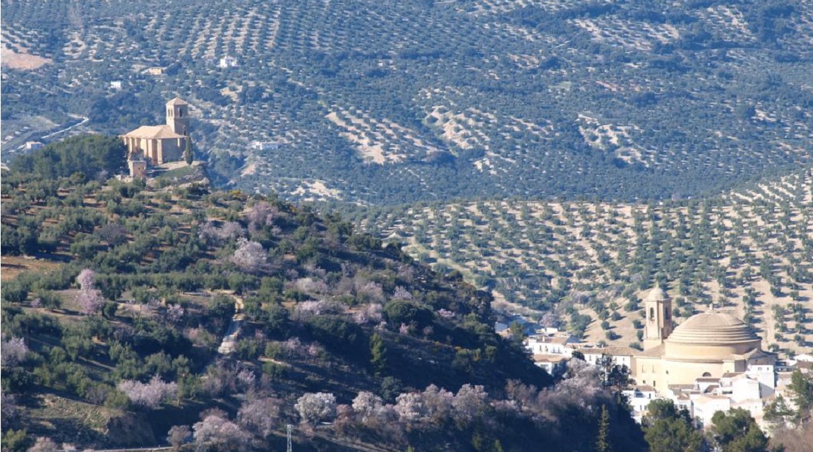 Poniente granadino