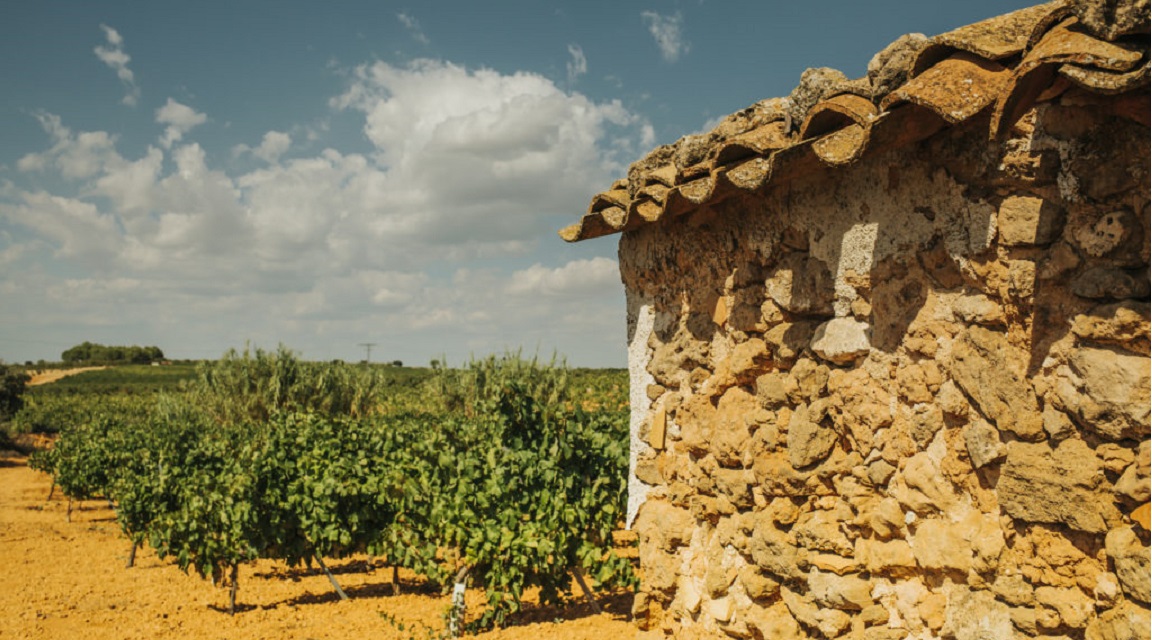 Ruta del Vino de la Manchuela