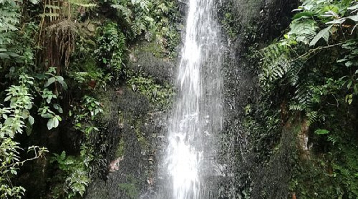 Fusagasugá Colombia