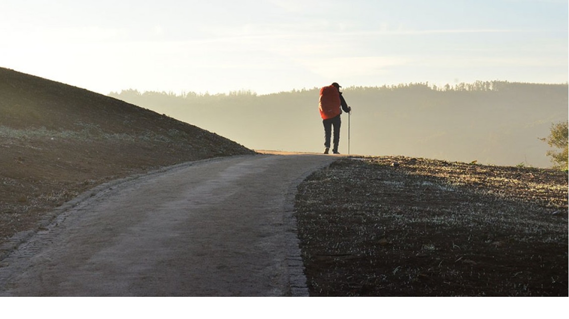 Camino