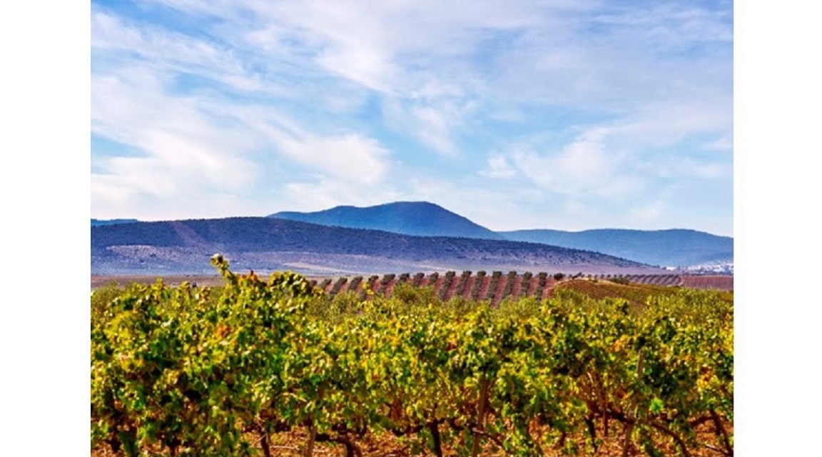 Guadiana Ruta Ribera