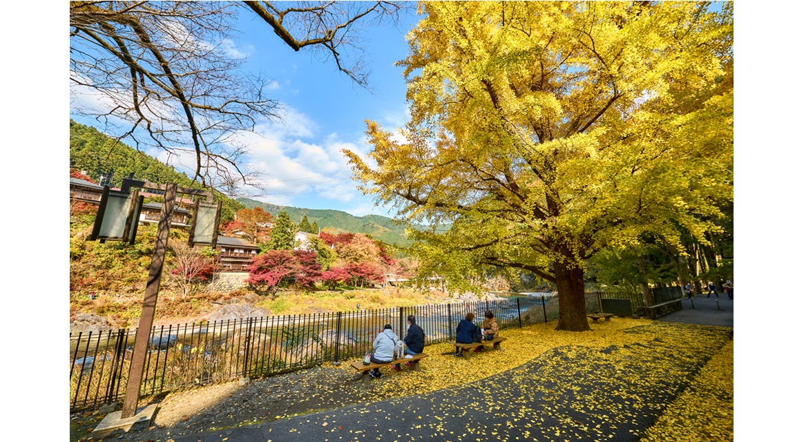 Otoño Tokio