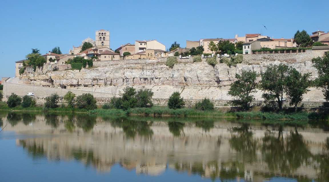 Zamora