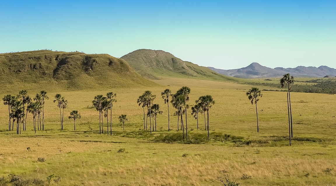 Brasil - Cerrado