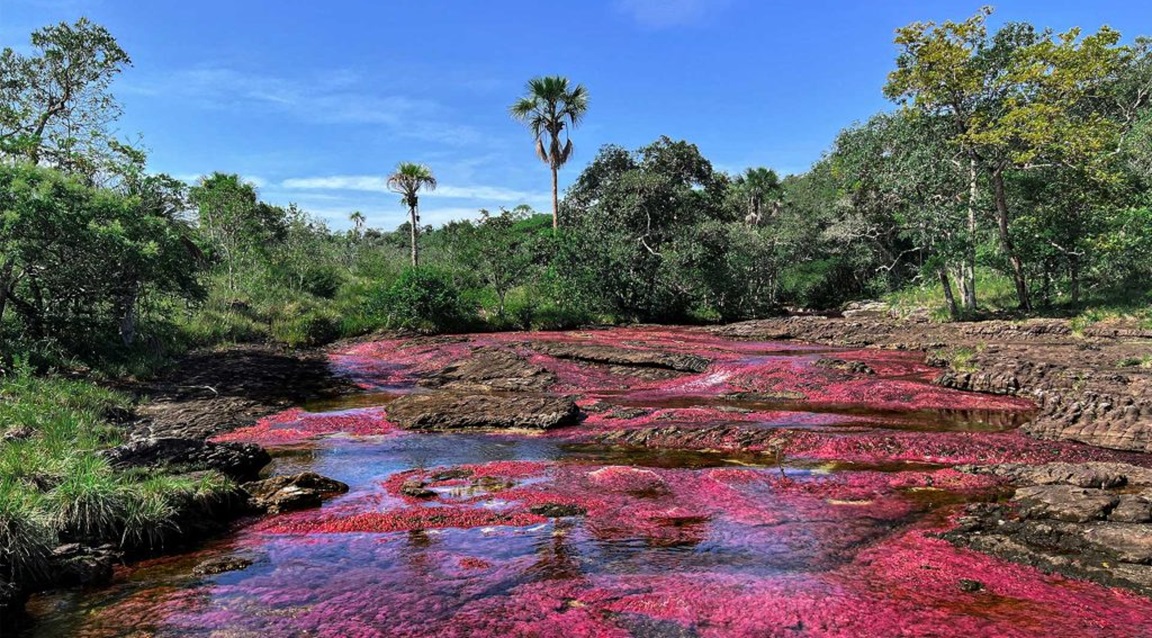 Colombia_Guaviare_Rio_Colores