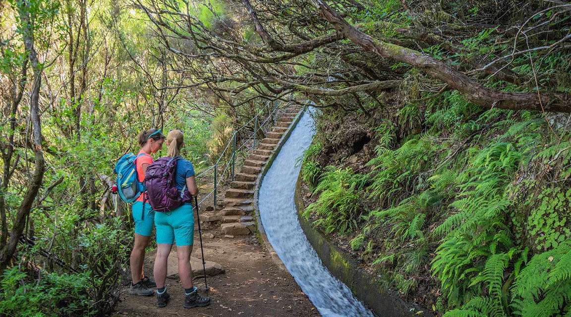 madeira levada