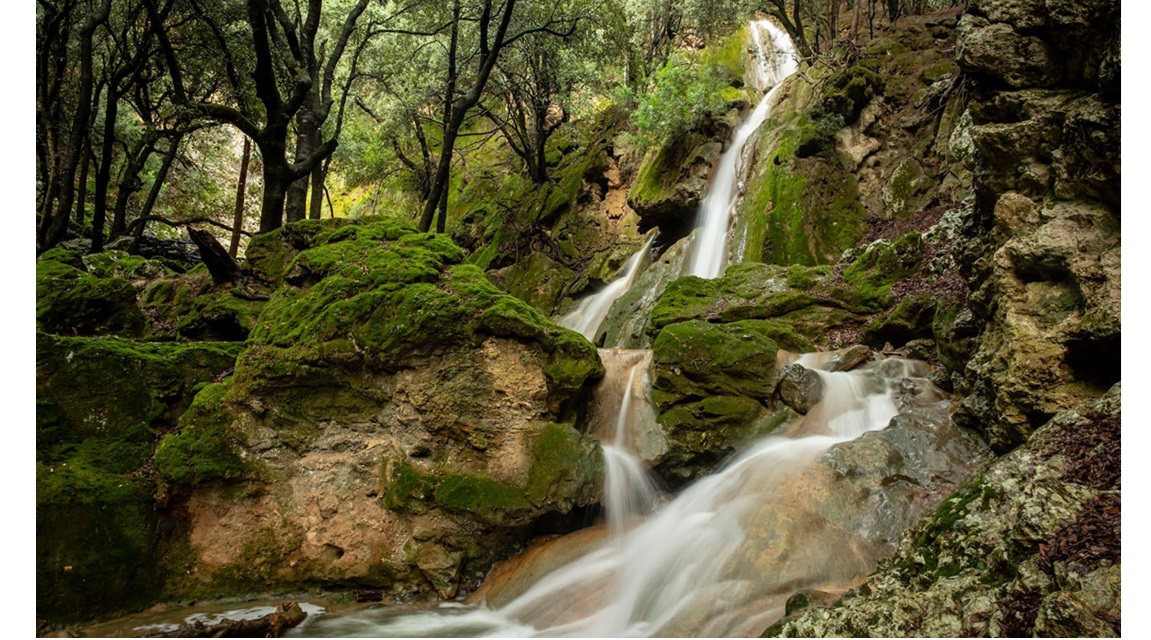 Mallorca sostenible