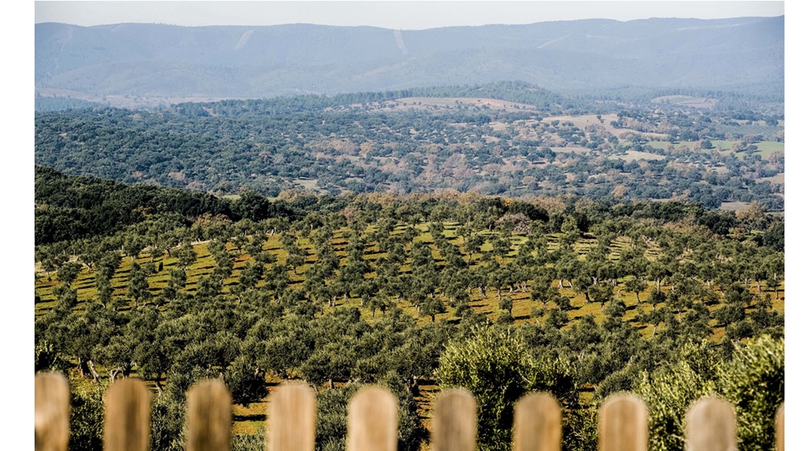 Sierra de Gata