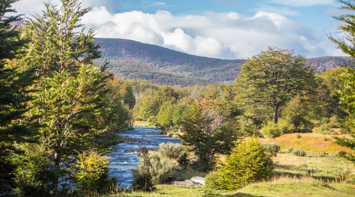 Argentina_Parque_TIerra_del_Fuego