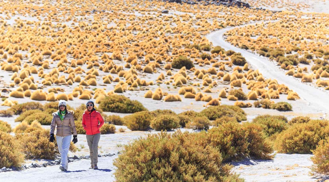 Chile San Pedro Atacama