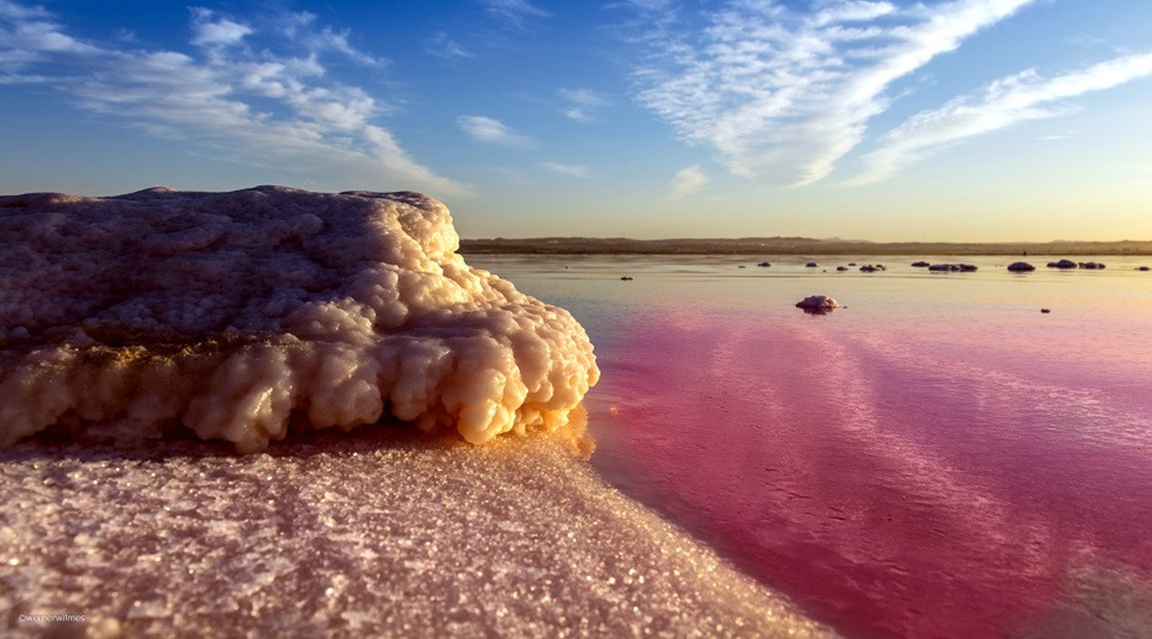 Torrevieja laguna rosa