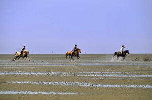 Niederschsisches_Wattenmeer_imago53233164m