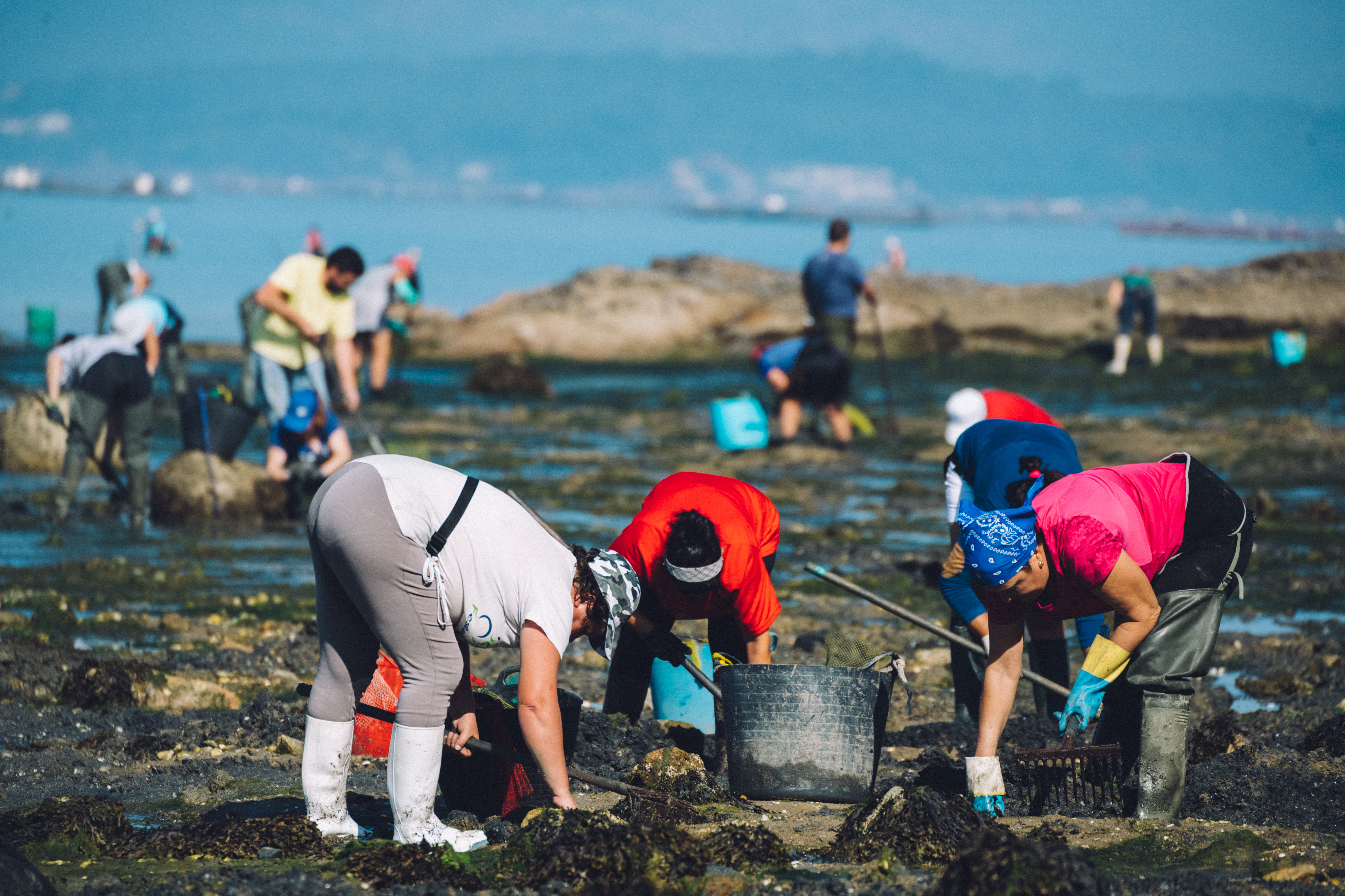 mariscadoras