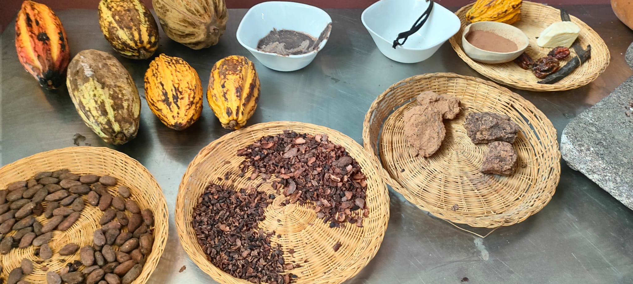 CACAO Y CHOCOLATE