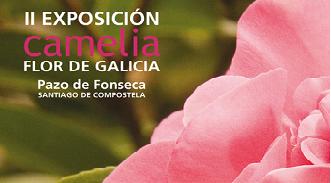 II exposición Camelia, flor de Galicia, el viernes y sábado en Santiago |  Expreso