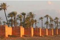 Marrakech_Palmeral